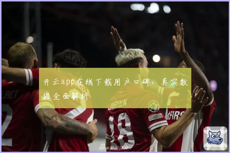 开云app在线下载用户口碑，真实数据全面解析