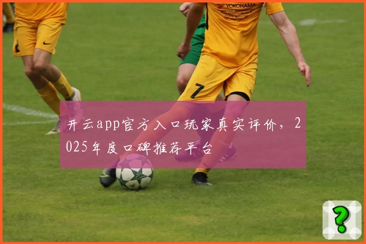 开云app官方入口玩家真实评价，2025年度口碑推荐平台