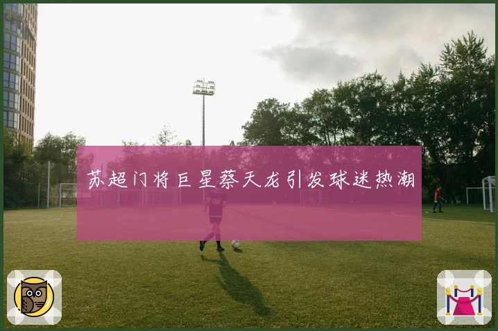 苏超门将巨星蔡天龙引发球迷热潮