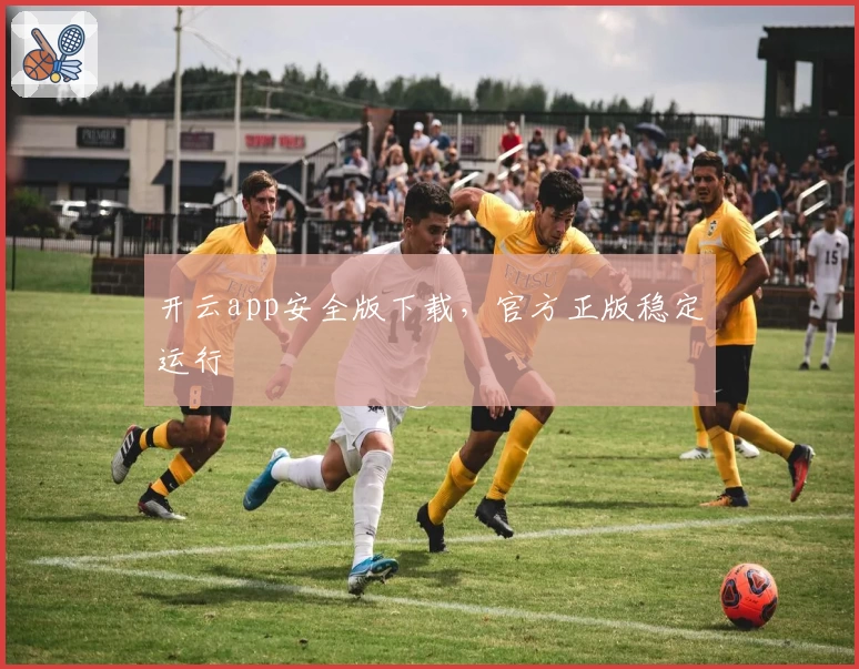 开云app安全版下载，官方正版稳定运行