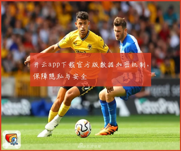 开云app下载官方版数据加密机制，保障隐私与安全