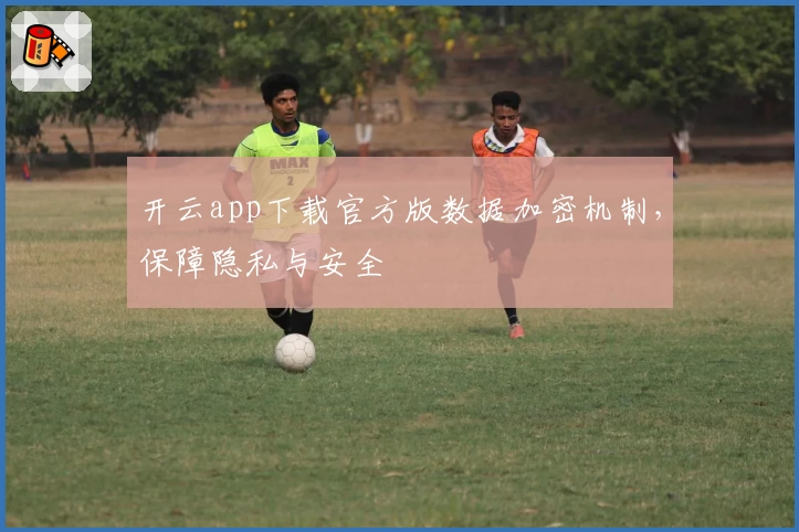 开云app下载官方版数据加密机制，保障隐私与安全